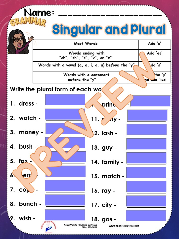 Singular and Plural Interactive Worksheet